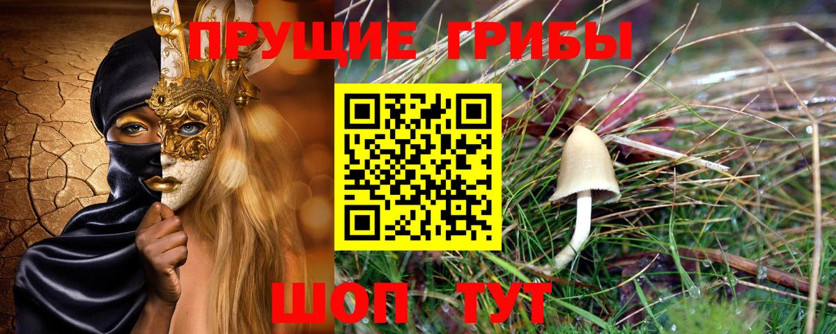 Галлюциногенные грибы MAGIC MUSHROOMS  Псилоцибиновые грибы прущие грибы  Вход с VPN  Мариинск 